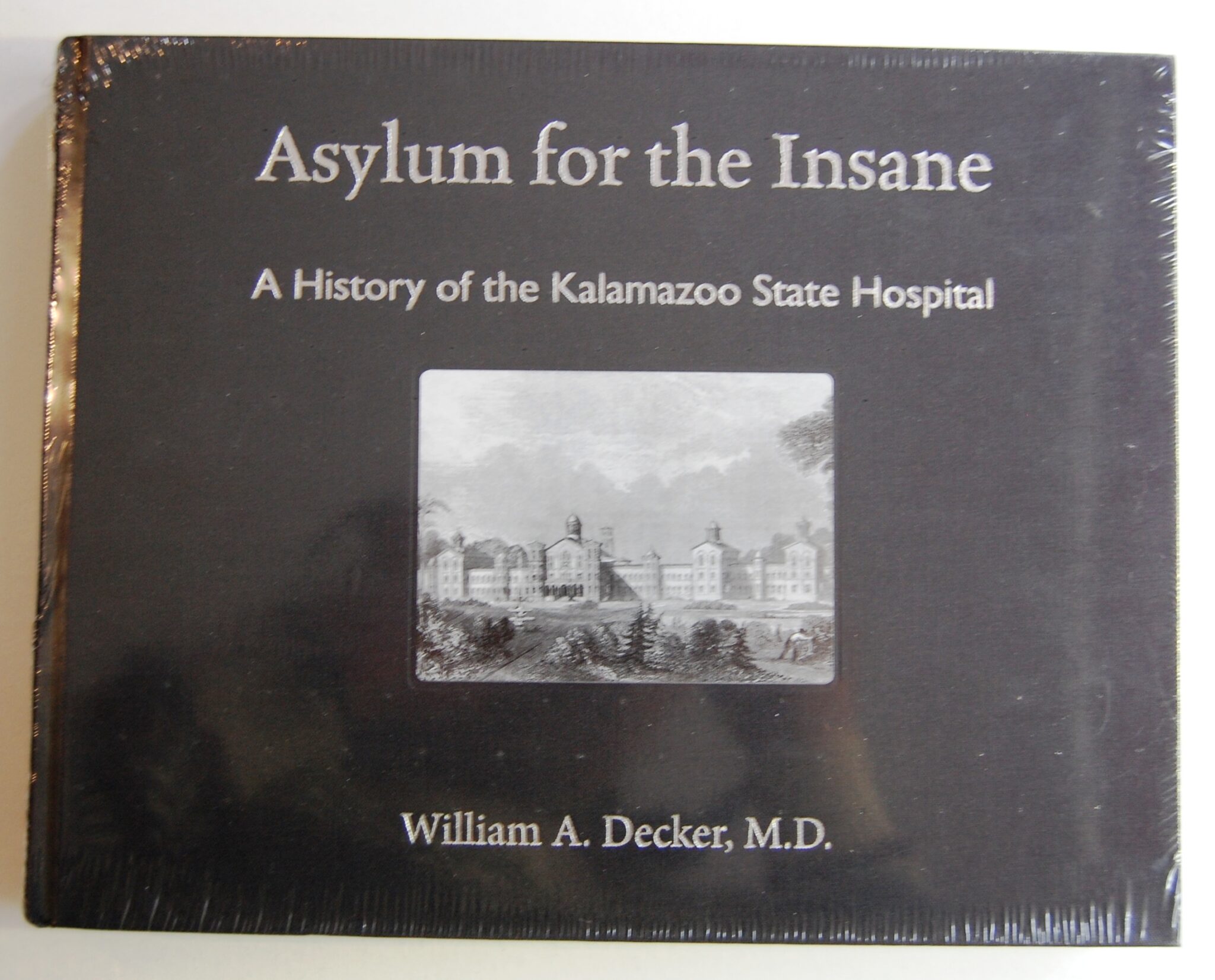 Asylum for the Insane A History of the Kalamazoo State Hospital